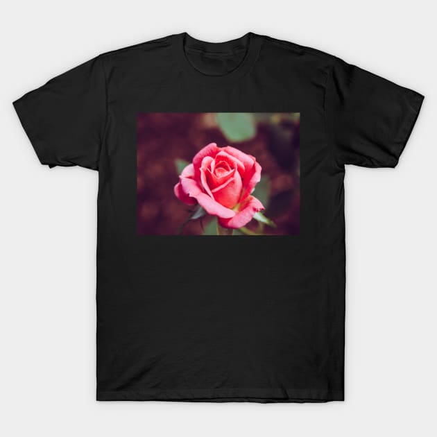 Summer Rose T-Shirt by hextrovert